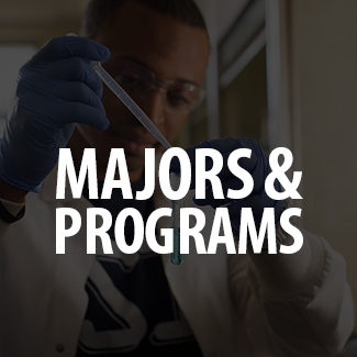 majors and programs