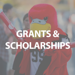 grants & scholarships