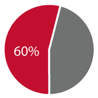 60% pie chart