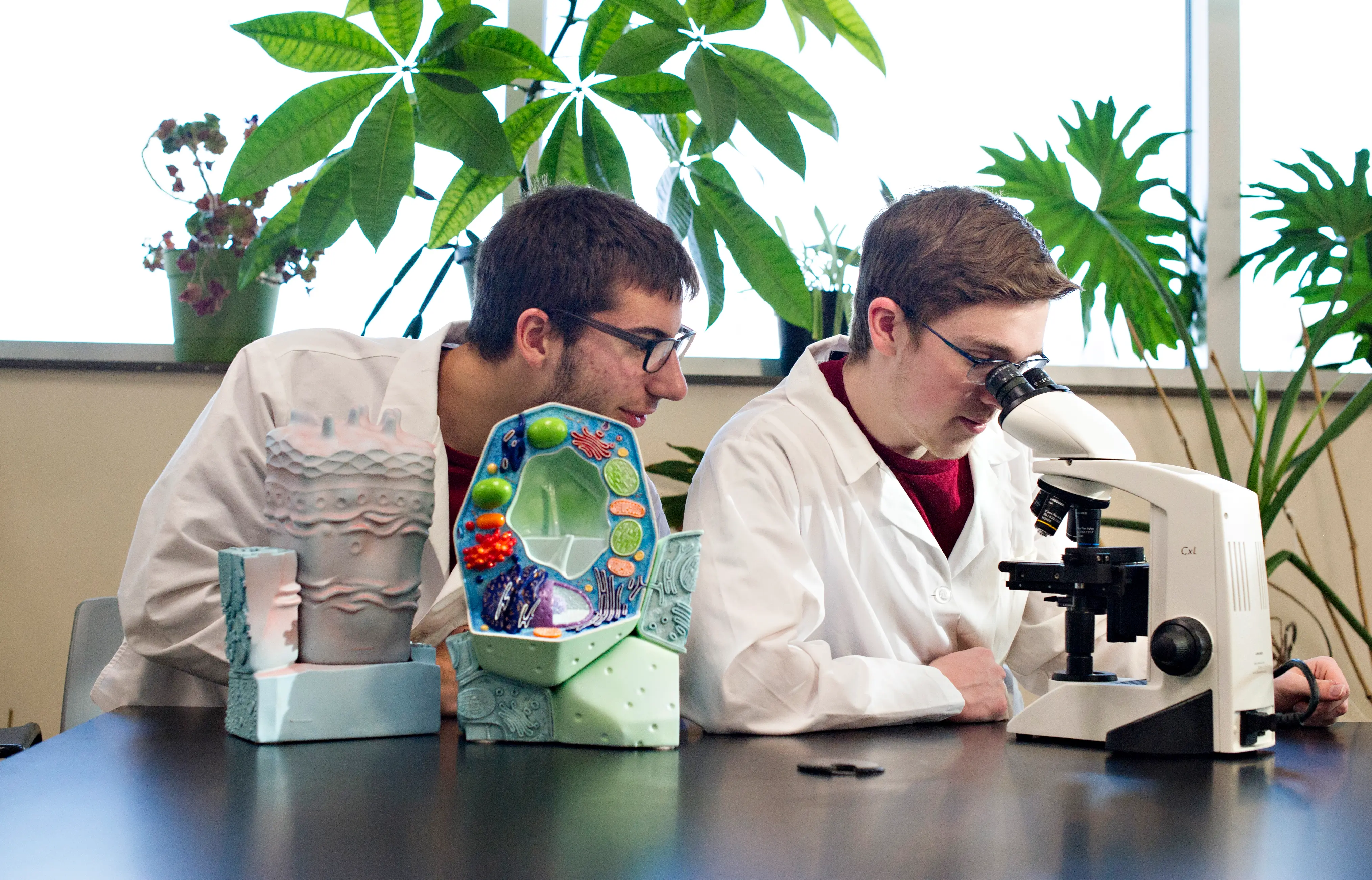 Two Roberts students study something under a microscope