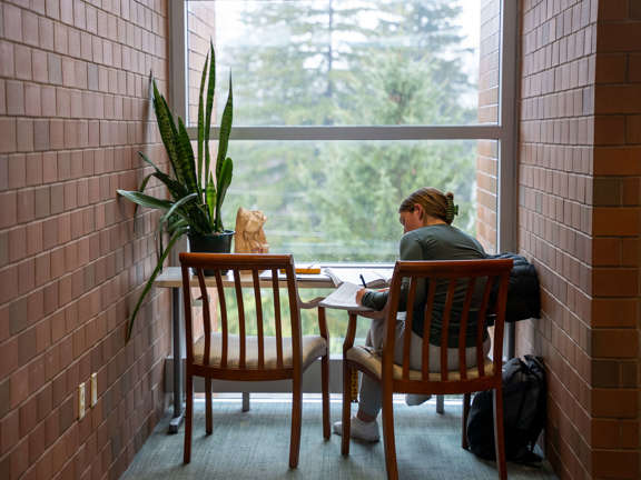student studying near a window